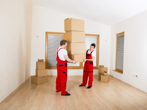 Professional local moving support in Waterloo for homes and businesses